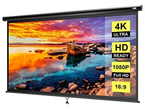 VIVOHOME 80 Inch Manual Pull Down Projector Screen