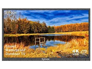 SYLVOX 43 inch Outdoor TV